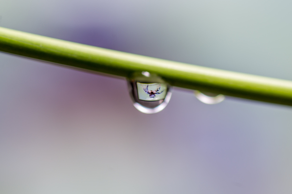 点点滴滴的意思