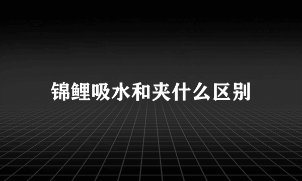锦鲤吸水和夹什么区别