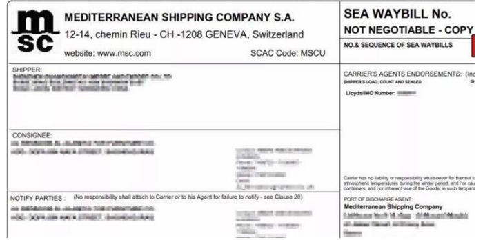 什么是MBL提单？