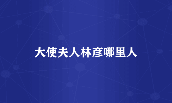 大使夫人林彦哪里人