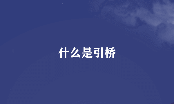 什么是引桥