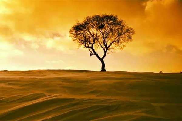 天荒是什么意思