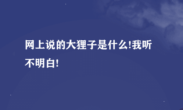 网上说的大狸子是什么!我听不明白!