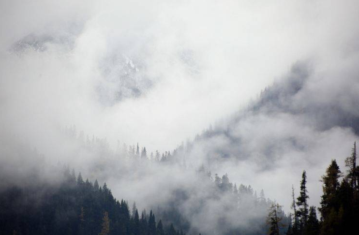 了了晴山见，纷纷宿雾空。的翻译。