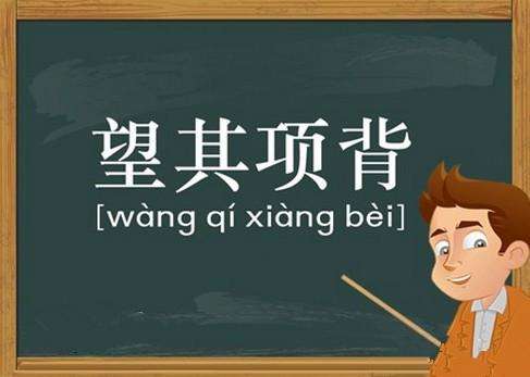 难以望其项背是正确的吗？