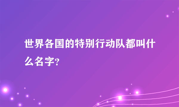 世界各国的特别行动队都叫什么名字？