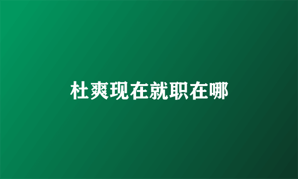 杜爽现在就职在哪