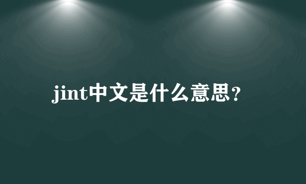 jint中文是什么意思？
