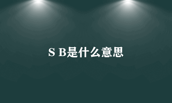 S B是什么意思