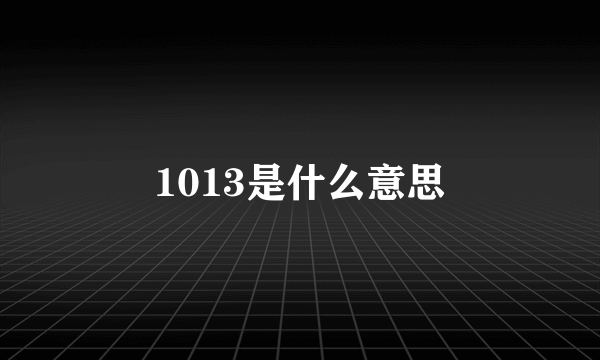 1013是什么意思