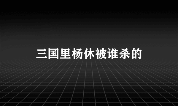 三国里杨休被谁杀的