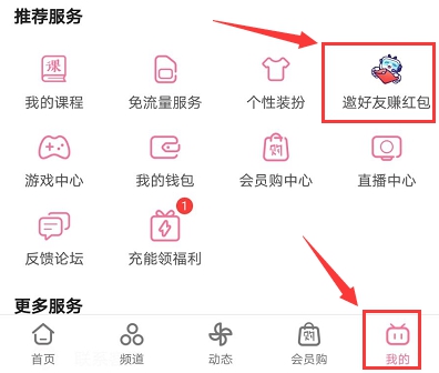 b站邀请码在哪里填？