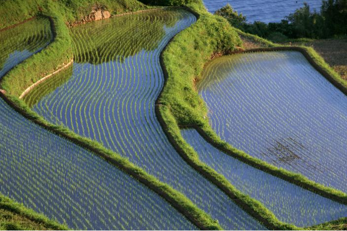 911精产国品一二三产区