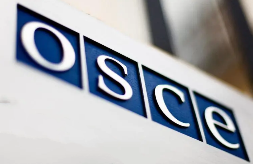 欧安组织是干什么的