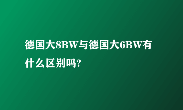 德国大8BW与德国大6BW有什么区别吗?