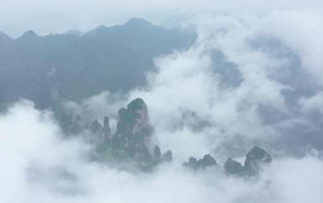 亦真亦幻什么意思