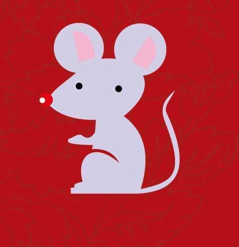 我今年2008年出生，我是几岁啊？