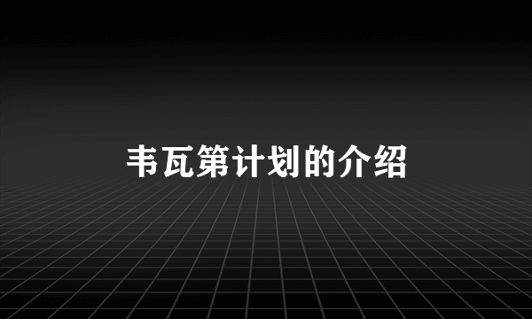 韦瓦第计划的介绍