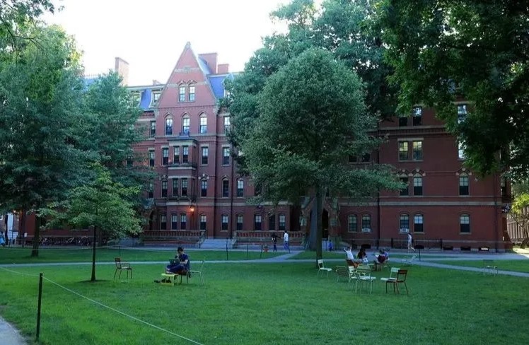 文明礼貌突出一个字