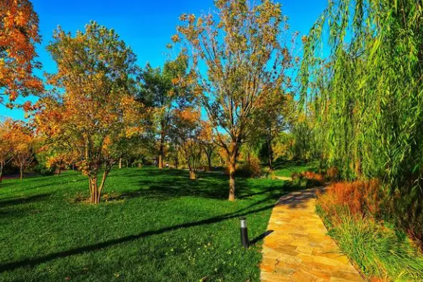 秋高通常指什么