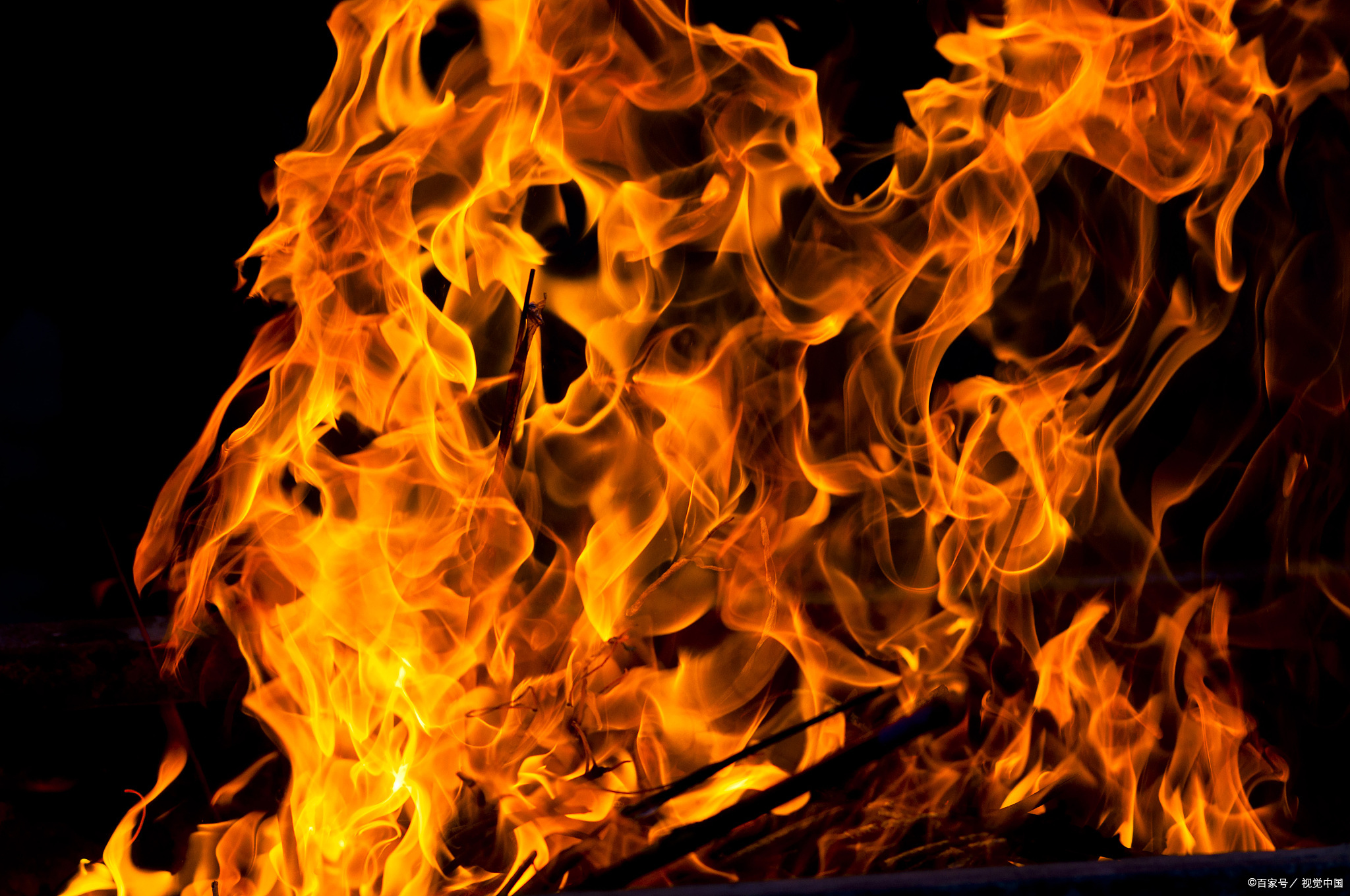 蜱虫最怕的是这3种东西，有哪三种东西呢？