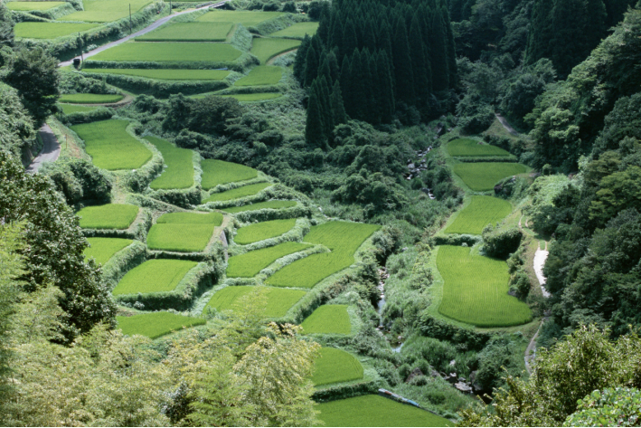 911精产国品一二三产区