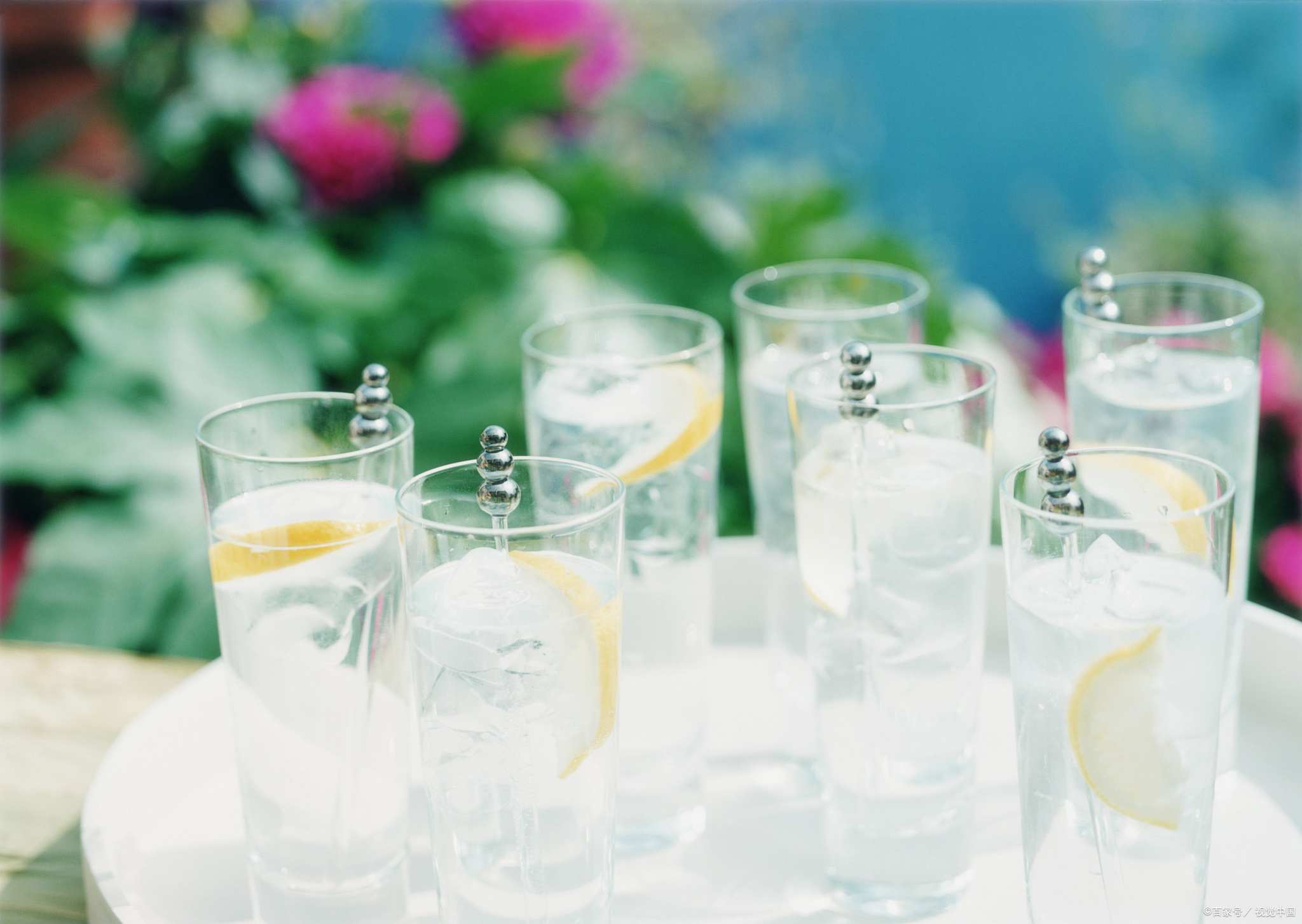 蜱虫最怕的是这3种东西，有哪三种东西呢？