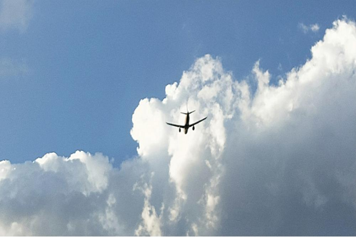 壮志凌云打一个准确生肖