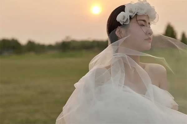 独照是什么意思