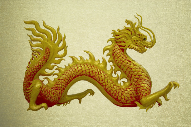 六神无主的动物是什么生肖？