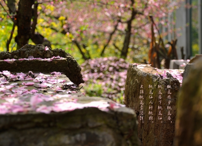 别人笑我太疯癫,我笑他人看不穿   全诗??~~~!!