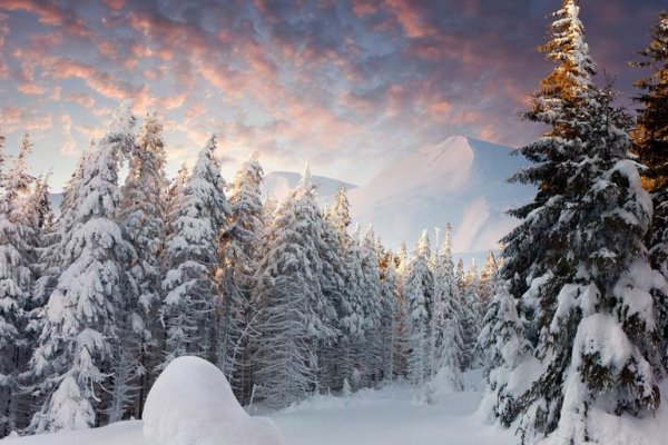 雪景配字简短唯美