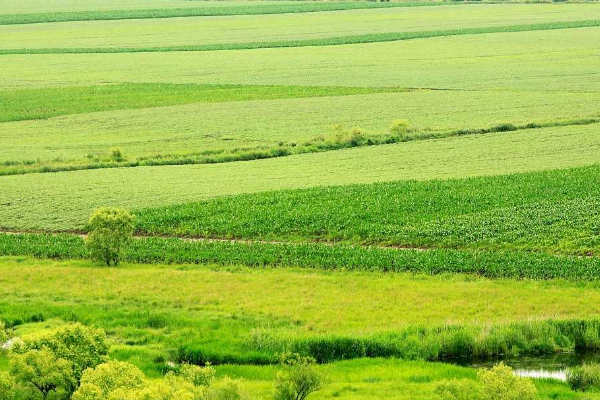 耕耘大婶的肥沃的土地仿写句子