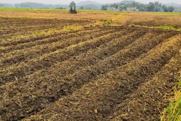 耕耘大婶的肥沃的土地仿写句子