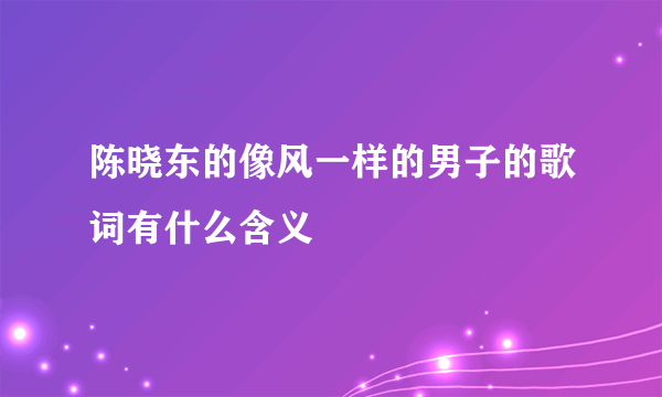 陈晓东的像风一样的男子的歌词有什么含义