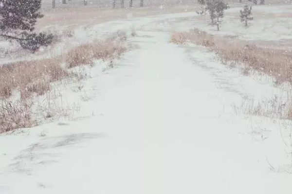 大寒有哪些四句古诗？