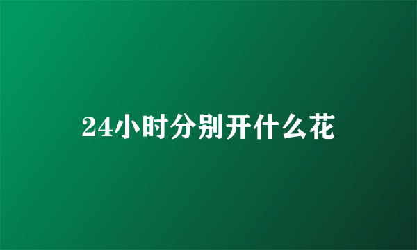 24小时分别开什么花