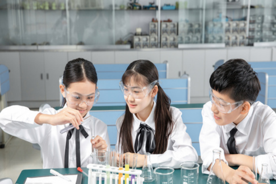 简述学习的关键期假说