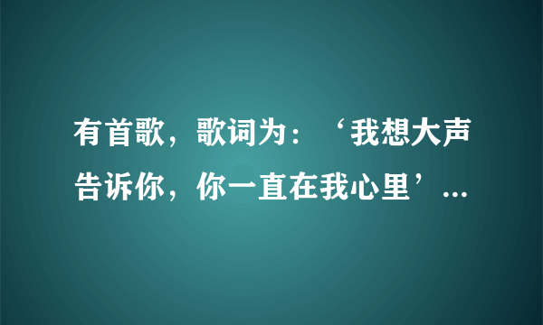 有首歌，歌词为：‘我想大声告诉你，你一直在我心里’，‘你不要哭，这样不漂亮’。求歌名。
