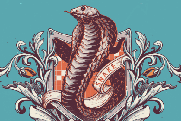 寒气刺骨打一准确生肖