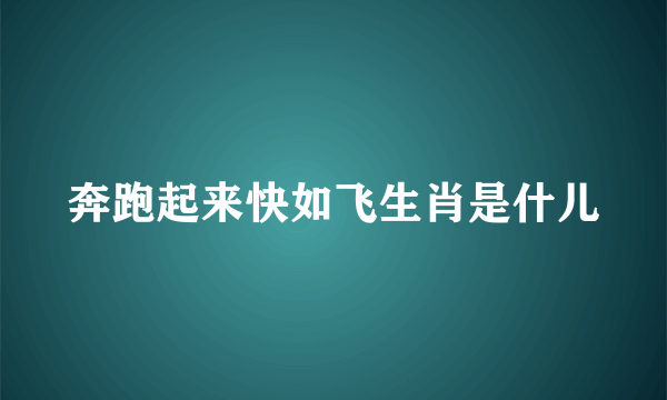 奔跑起来快如飞生肖是什儿