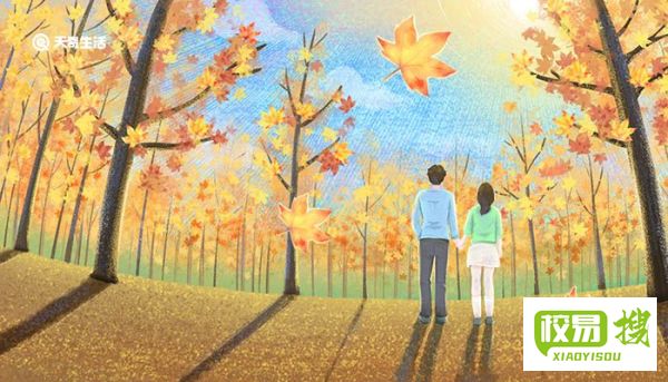 枫叶有什么特点