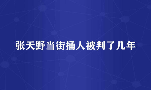 张天野当街捅人被判了几年