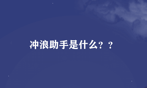 冲浪助手是什么？？