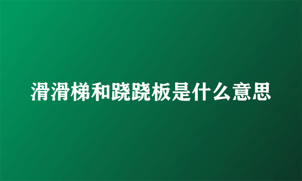 滑滑梯和跷跷板是什么意思