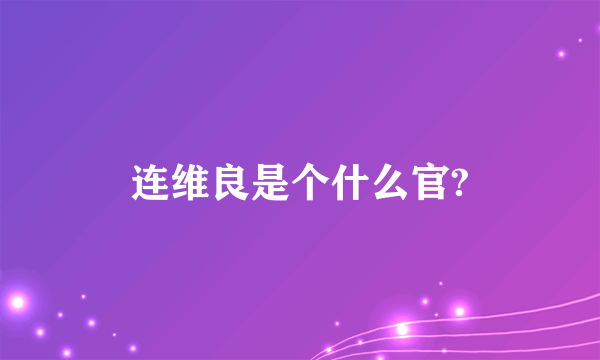 连维良是个什么官?
