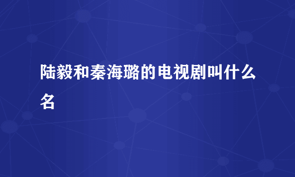 陆毅和秦海璐的电视剧叫什么名