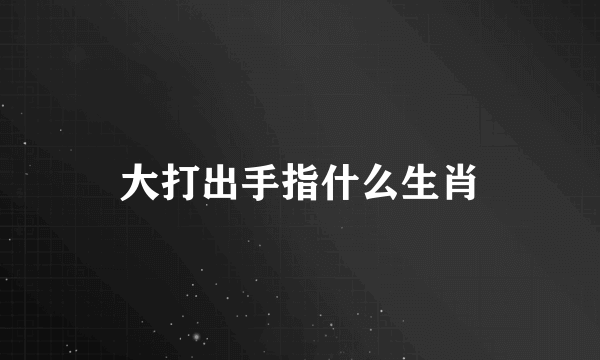 大打出手指什么生肖