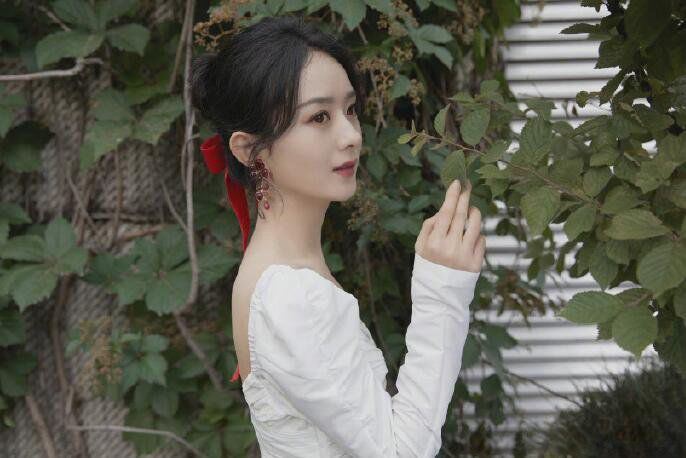 赵丽颖事件是怎么回事 朝阳v姐有实锤吗怎么没人提了