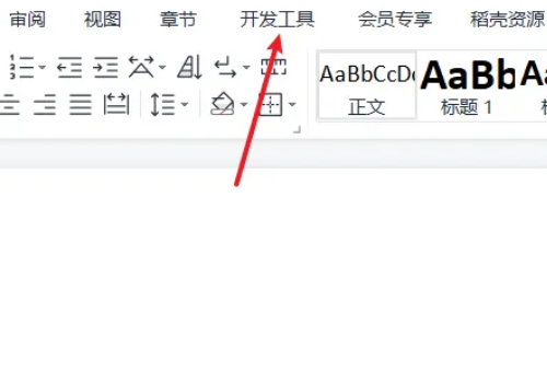 WPS2010怎么启用宏功能？